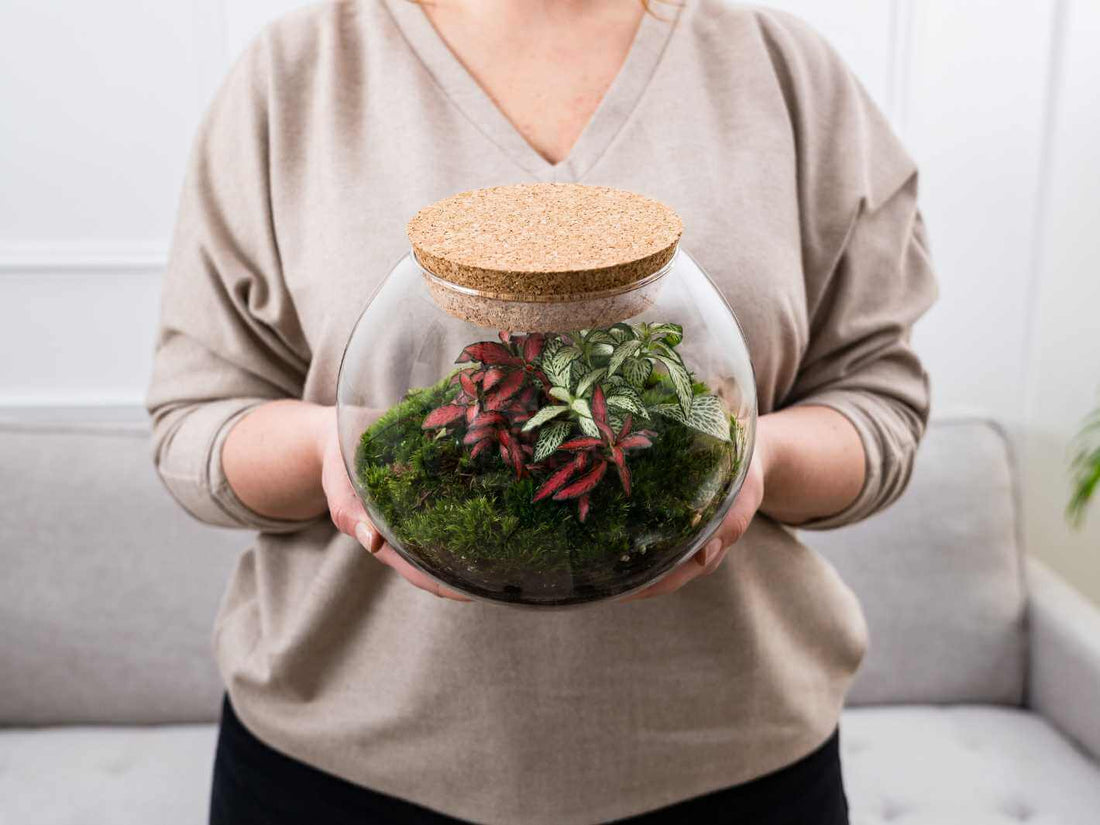 self-sustaining ecosystem