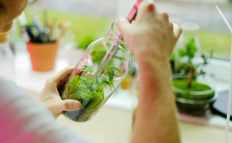 Terrarium making