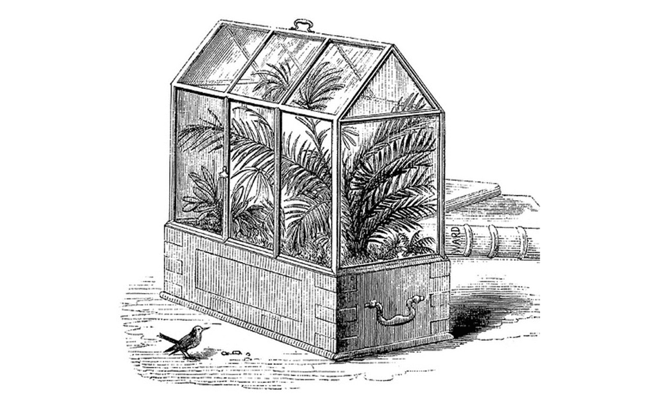 Terrariums: A Fascinating Journey through History