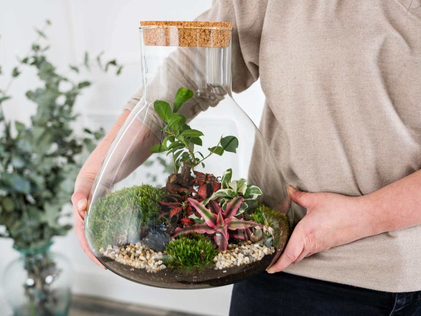 Why a Terrarium Is the Perfect Mother’s Day Gift (Unique, Long-Lasting Gift Idea)
