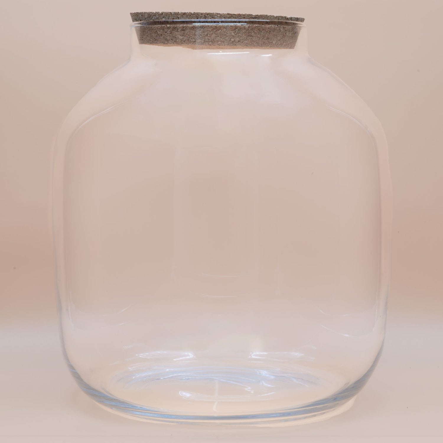 Empty Terrariums