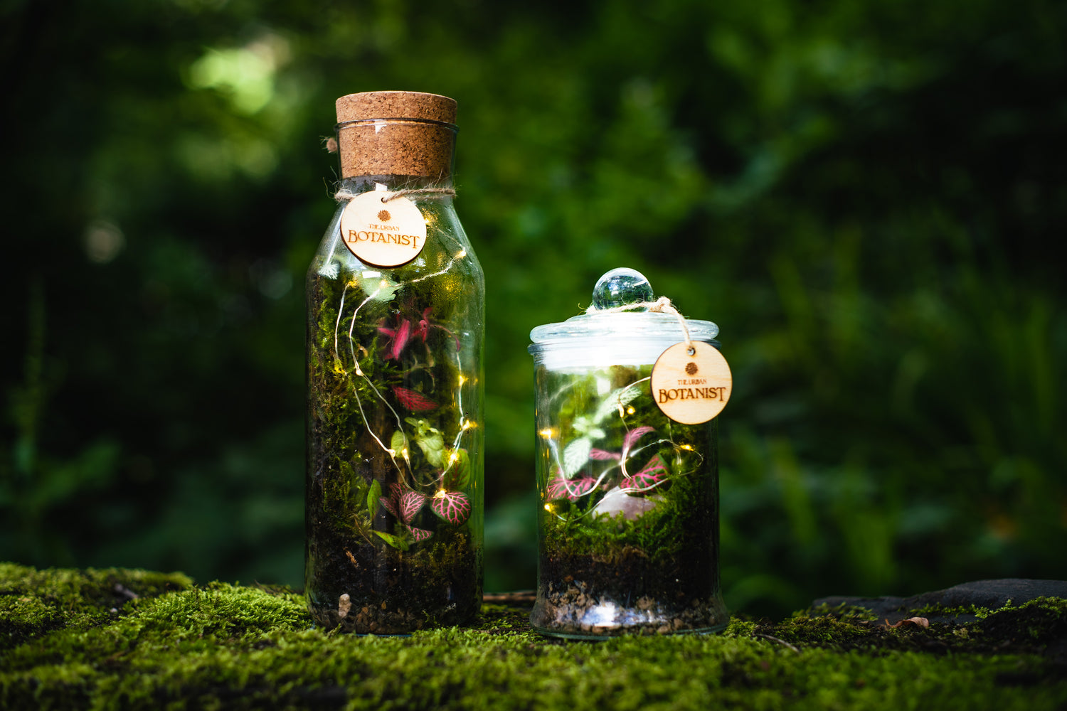 Bottle Gardens