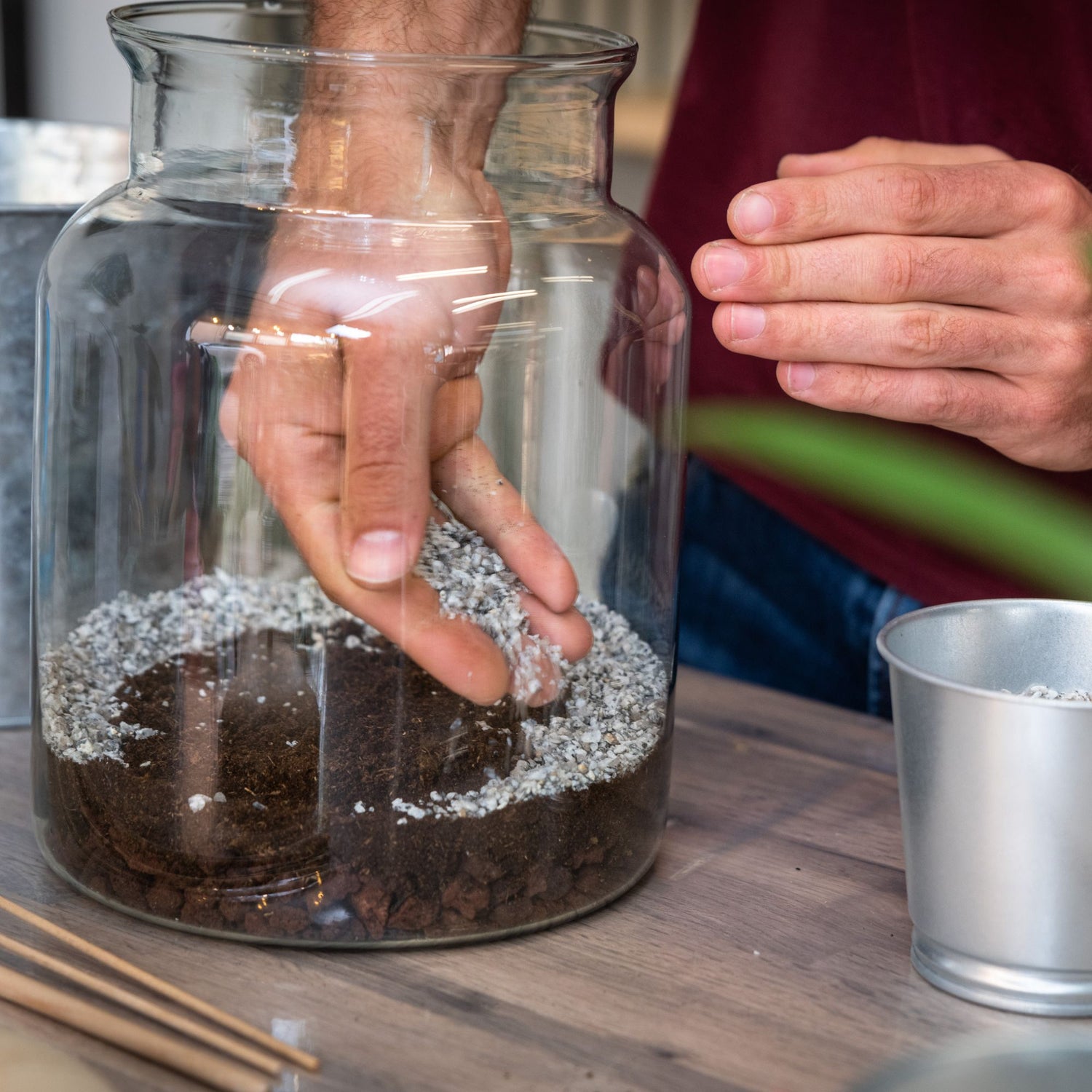 DIY Terrarium Kits
