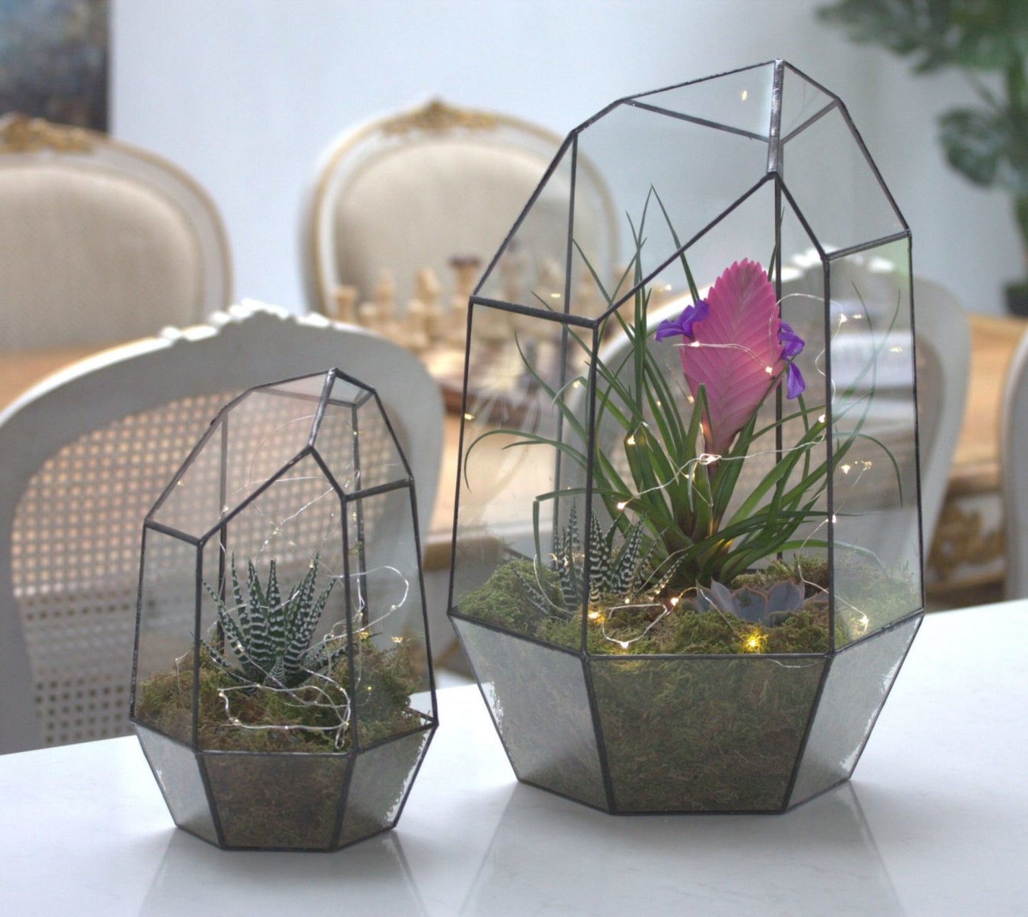 Wholesale Terrariums and Ecospheres Bulk Assembled Terrariums The