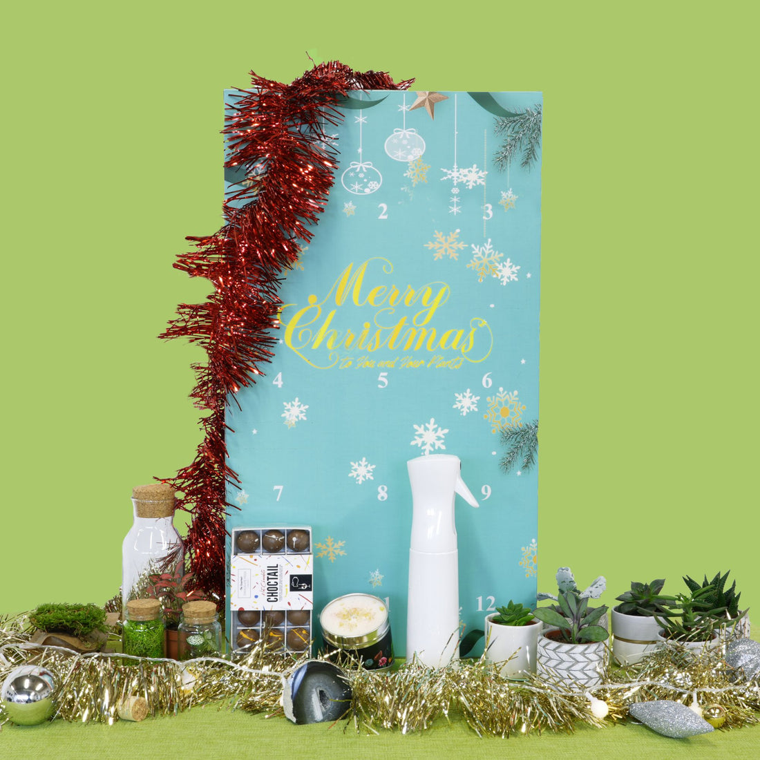 LIMITED EDITION The Urban Botanist Plant Advent Calendar