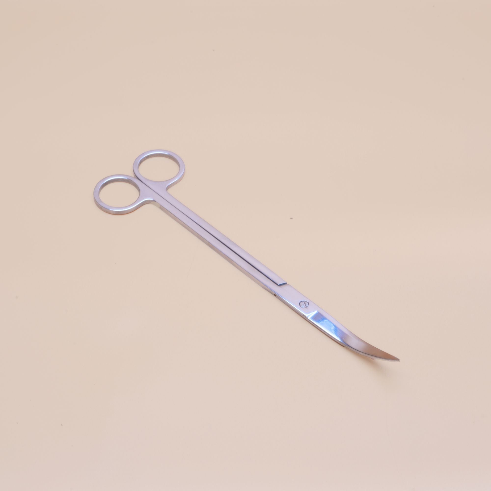 Curved Terrarium Scissors ◦ Stainless Steel ◦ 25 cm