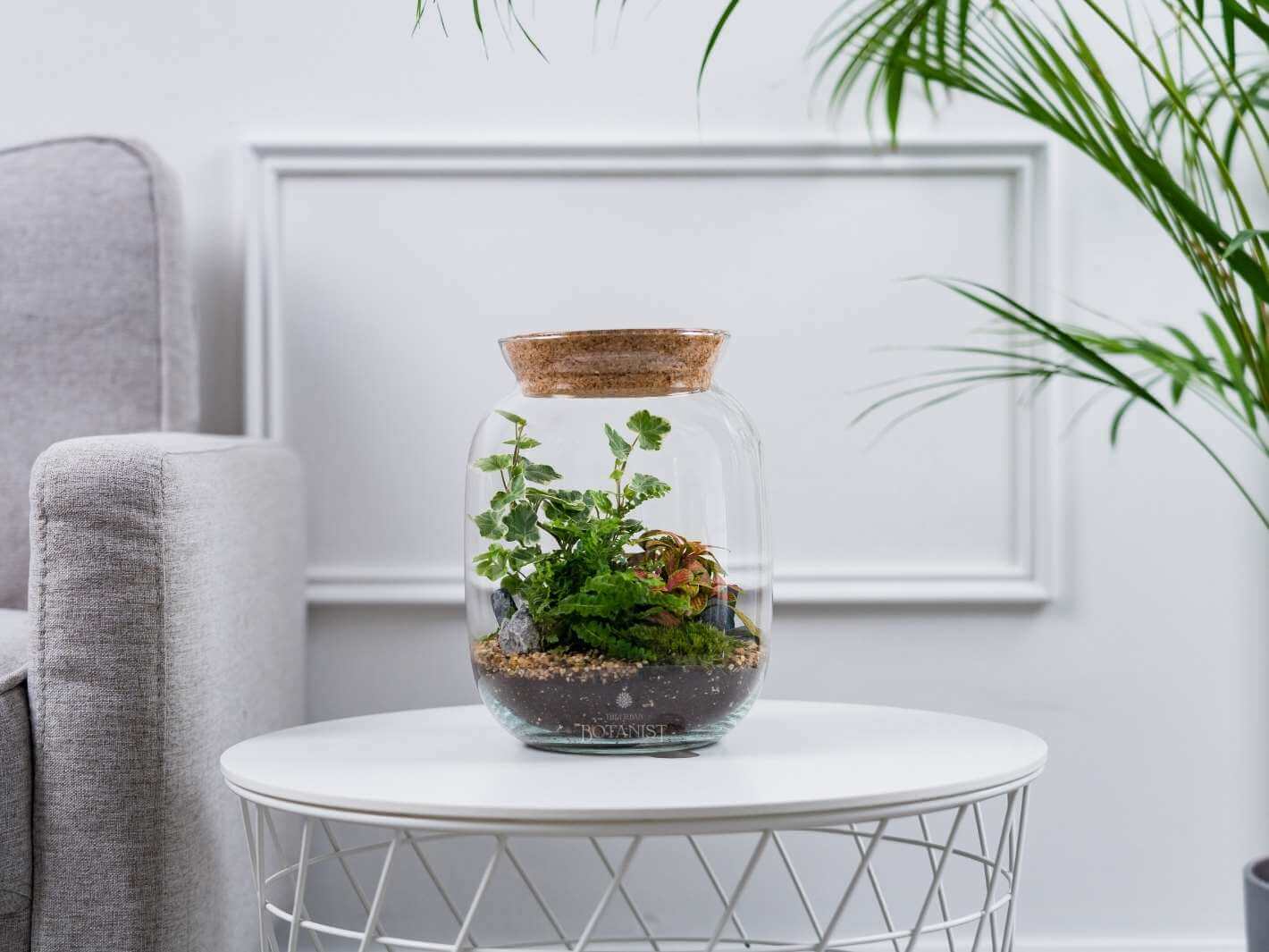 small-closed-terrarium