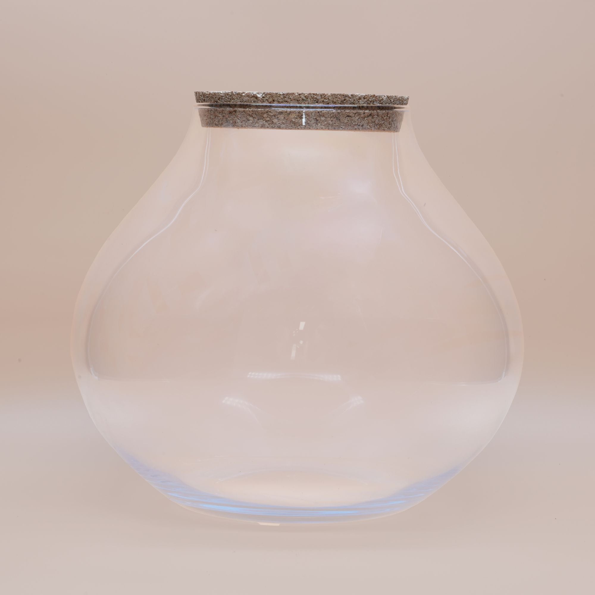 Large glass container for terrarium ◦ Victoria H: 31 cm