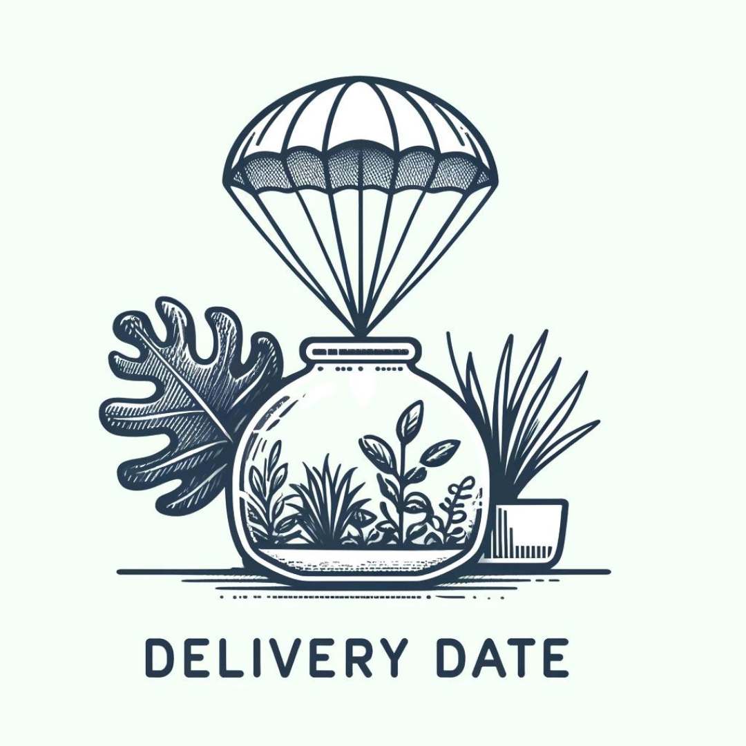 Selected Delivery Date