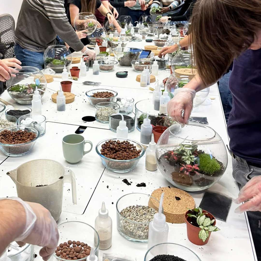 Terrarium Making Activity Corporate Terrarium Workshops in London - The Urban Botanist