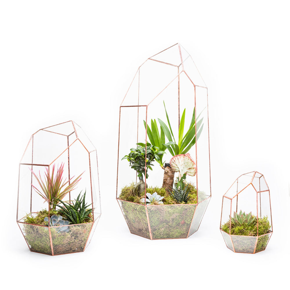 Wholesale Terrariums and Ecospheres Bulk Assembled Terrariums The