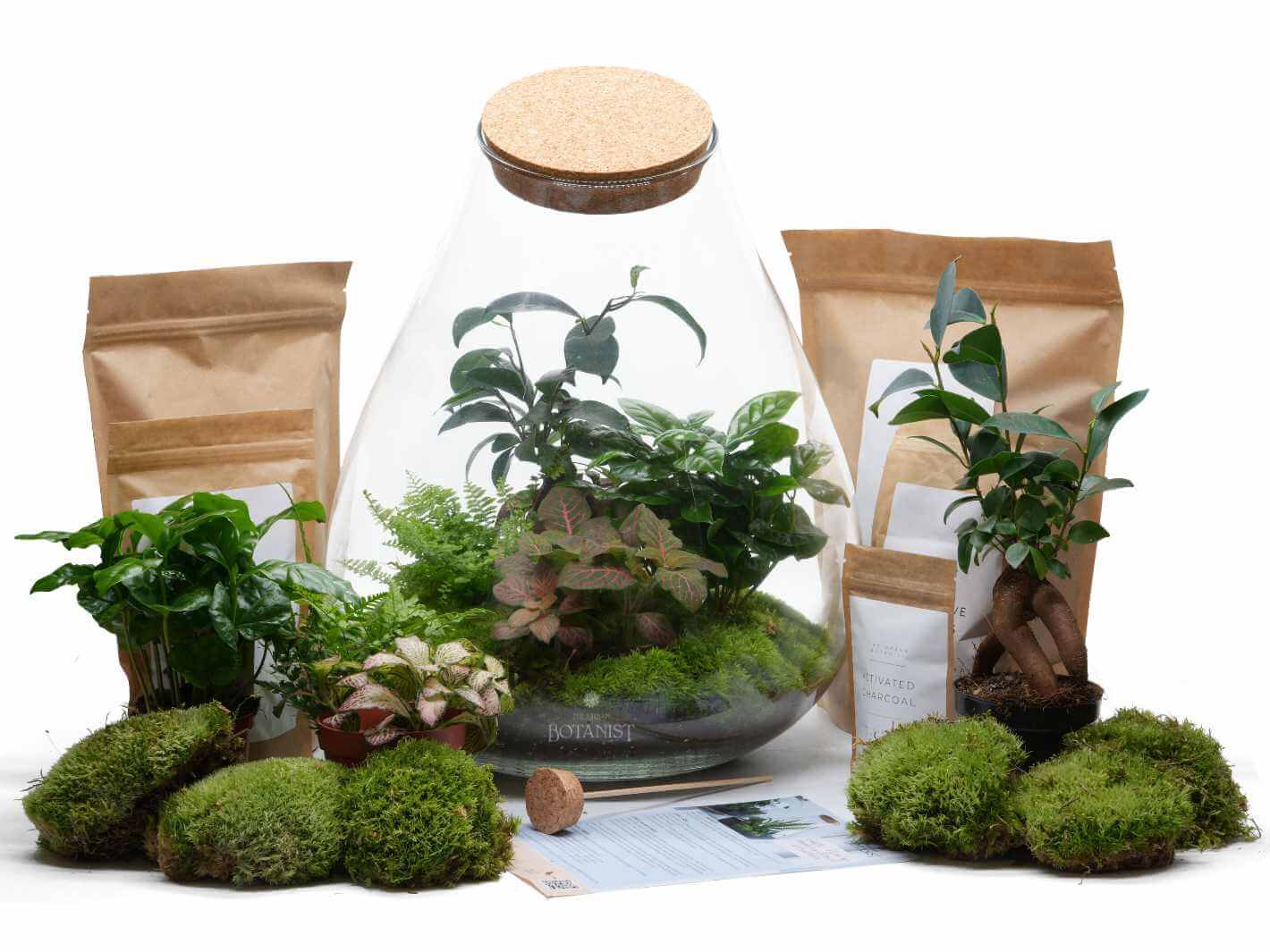 Extra Large Closed Terrarium KIT DIY | The Urban Botanist