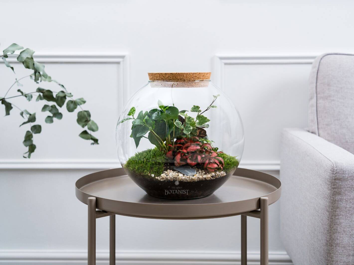 assembled_closed_terrarium