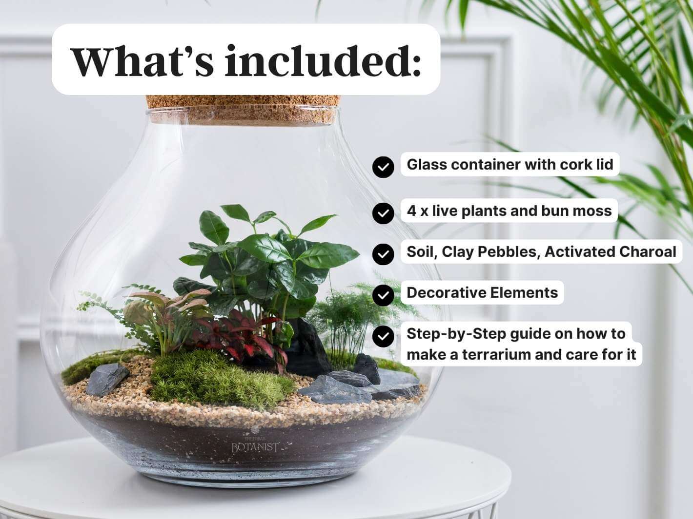 pre-assembled-terrarium