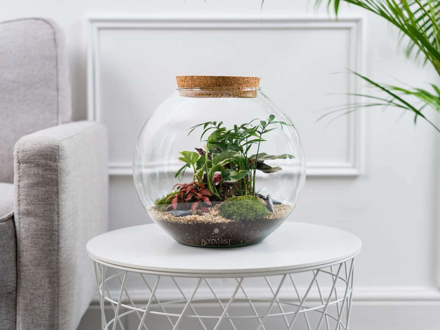 ecosphere-terrarium