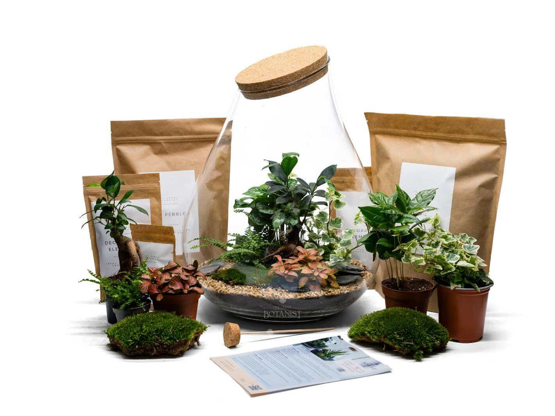 make-your-own-terrarium-kit