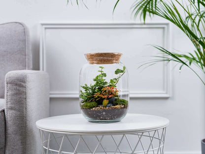 plant-terrarium