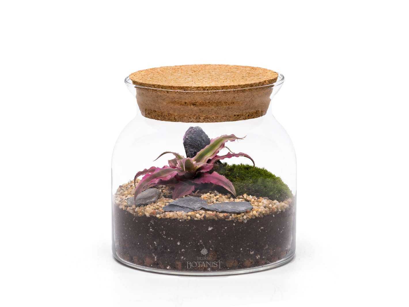 plant-in-glass