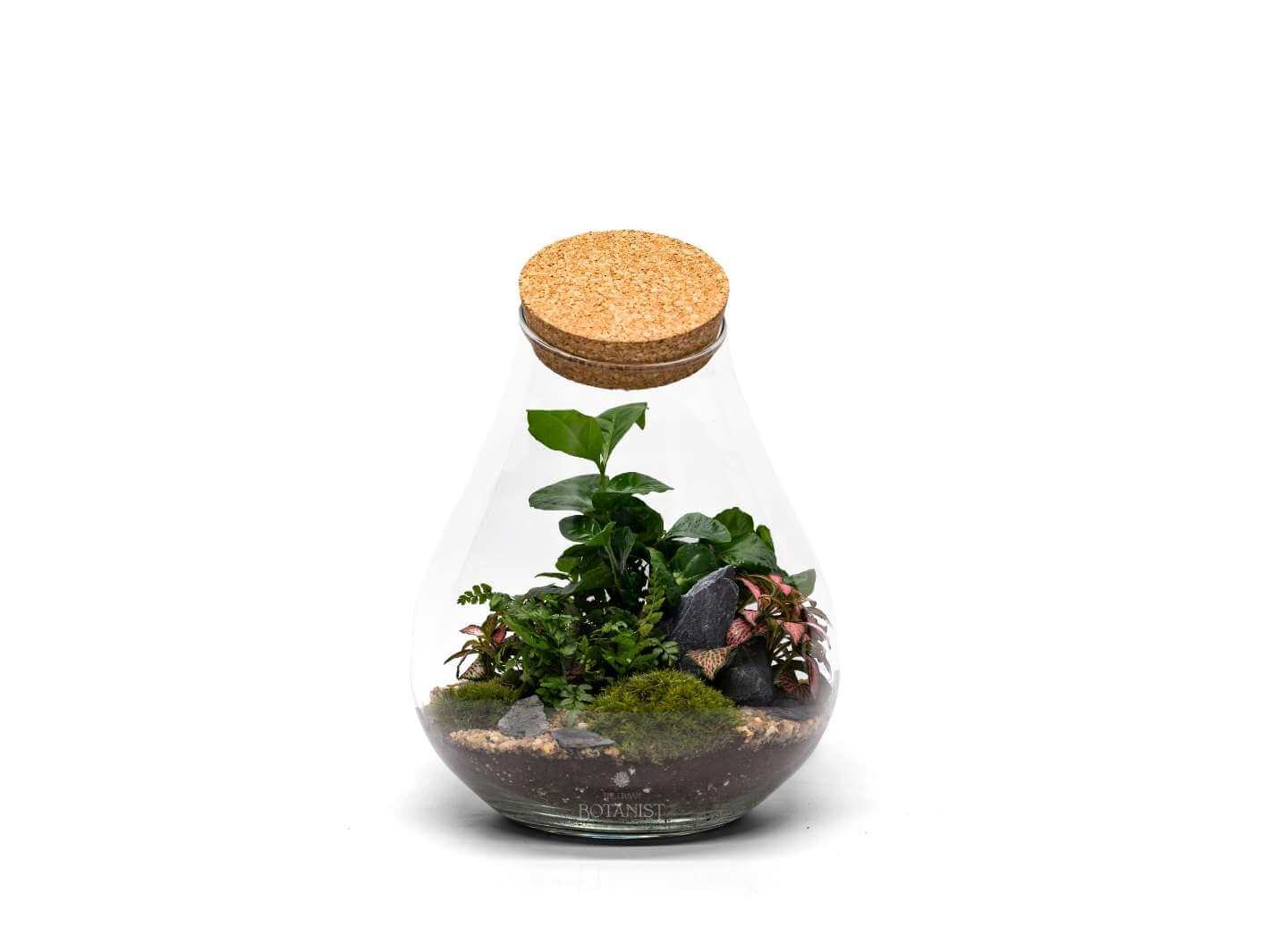 How-to-make-a-terrarium