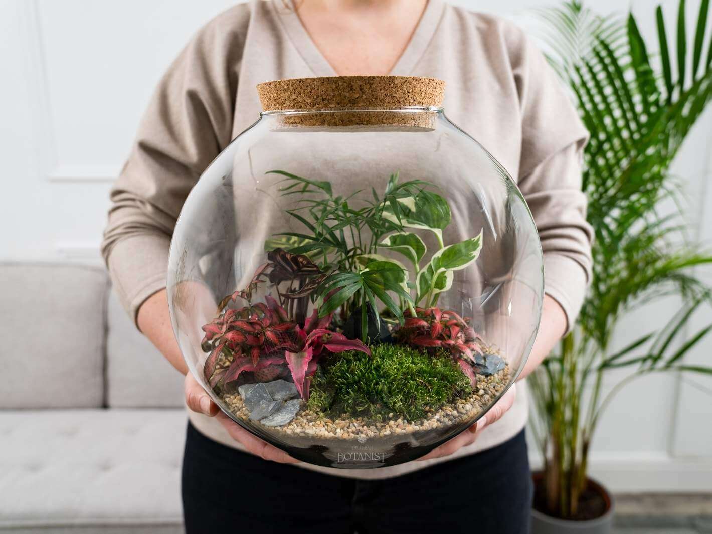 fishbowl-terrarium