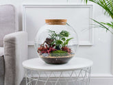 Make-your-own-terrarium