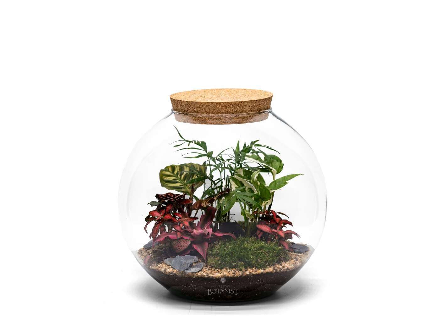 large-closed-terrarium