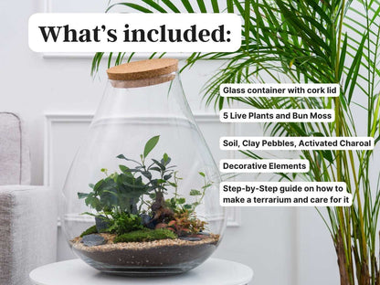 complete-terrarium-kit