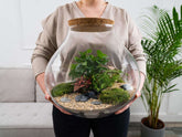 terrarium-shop