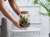 build-your-own-terrarium