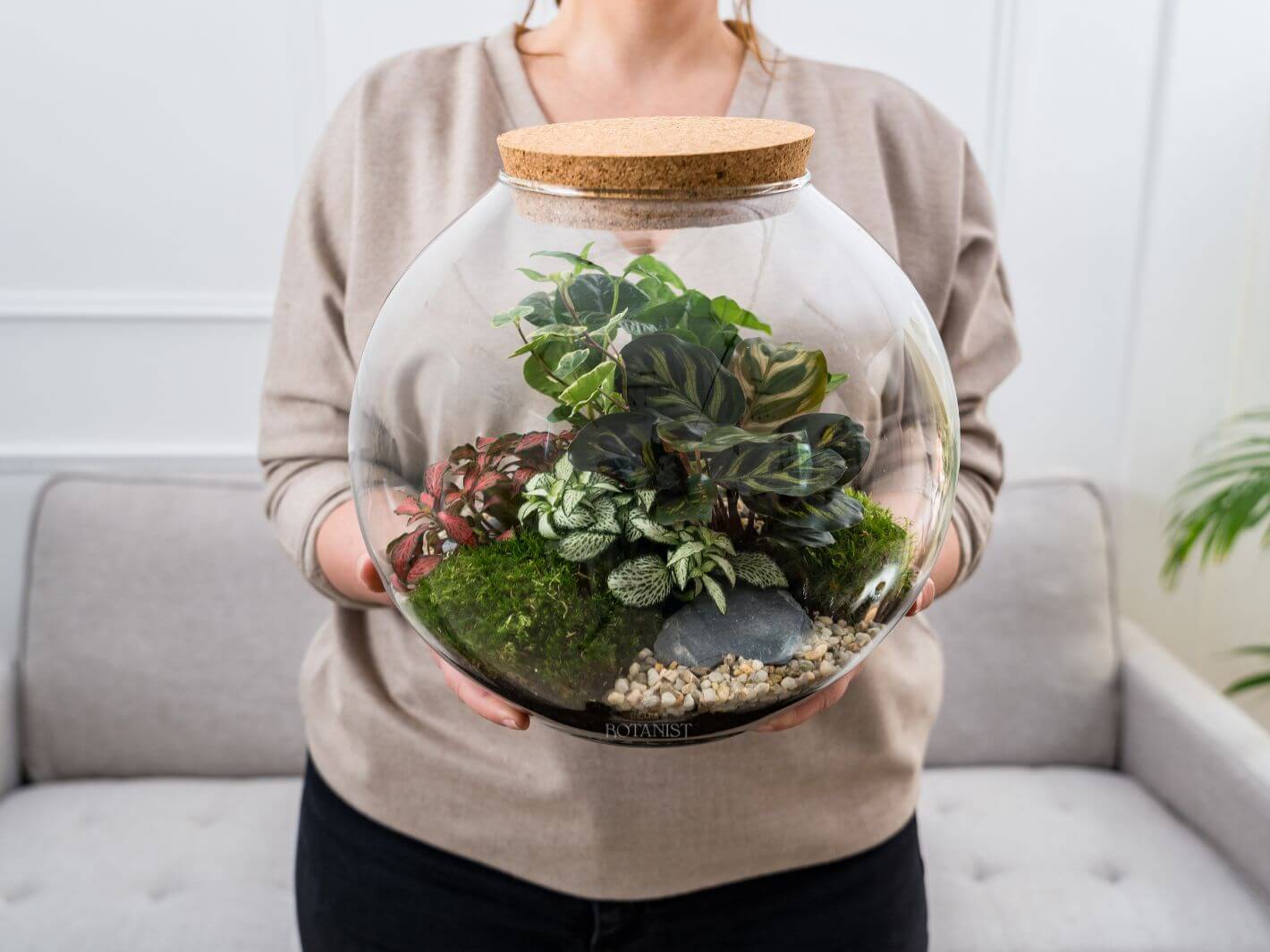 Disc Terrarium Ready-Made Large Enclosed Terrarium Perfect Gift | The Urban Botanist