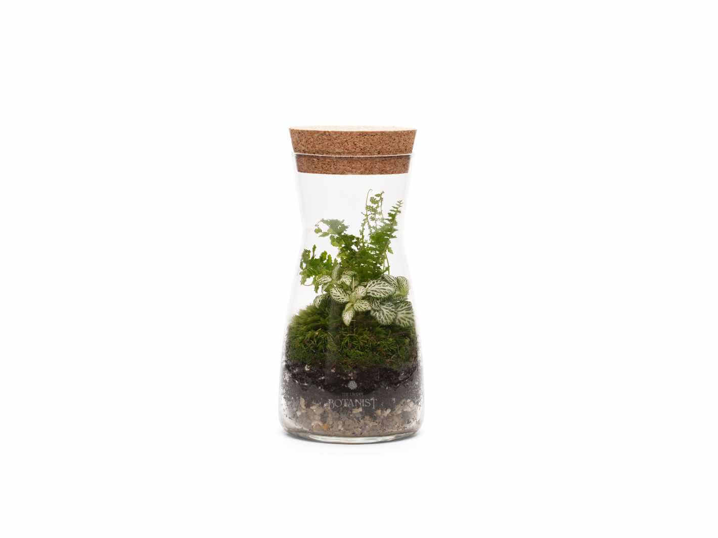 ready made terrarium with light