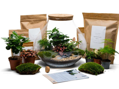 large-terrarium-kit