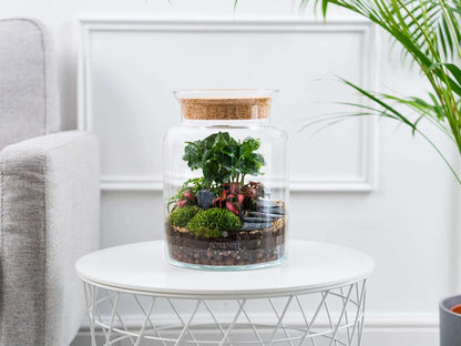 sealed-terrarium