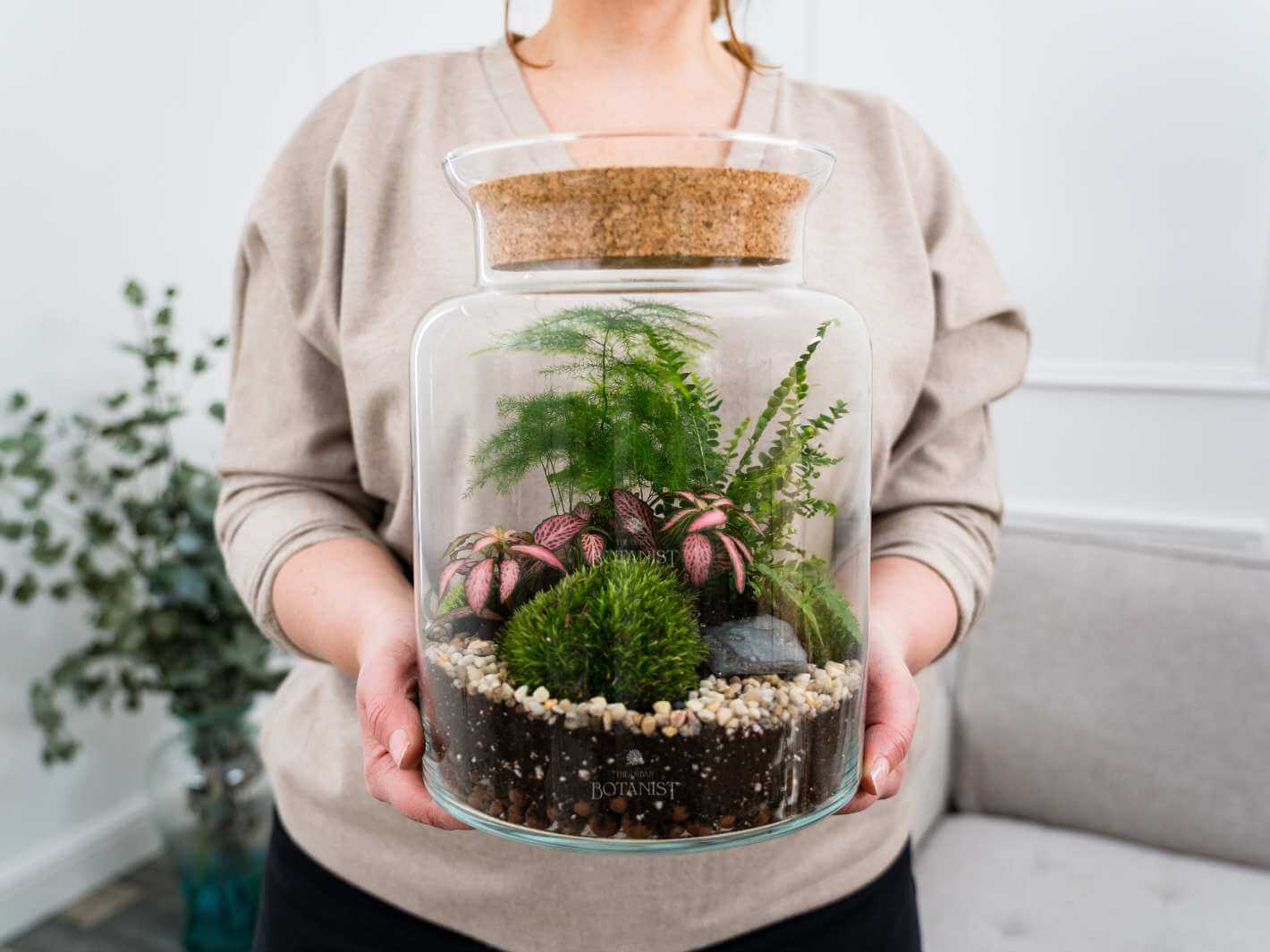ready planted terrariums Pre-Planted Fern Terrarium