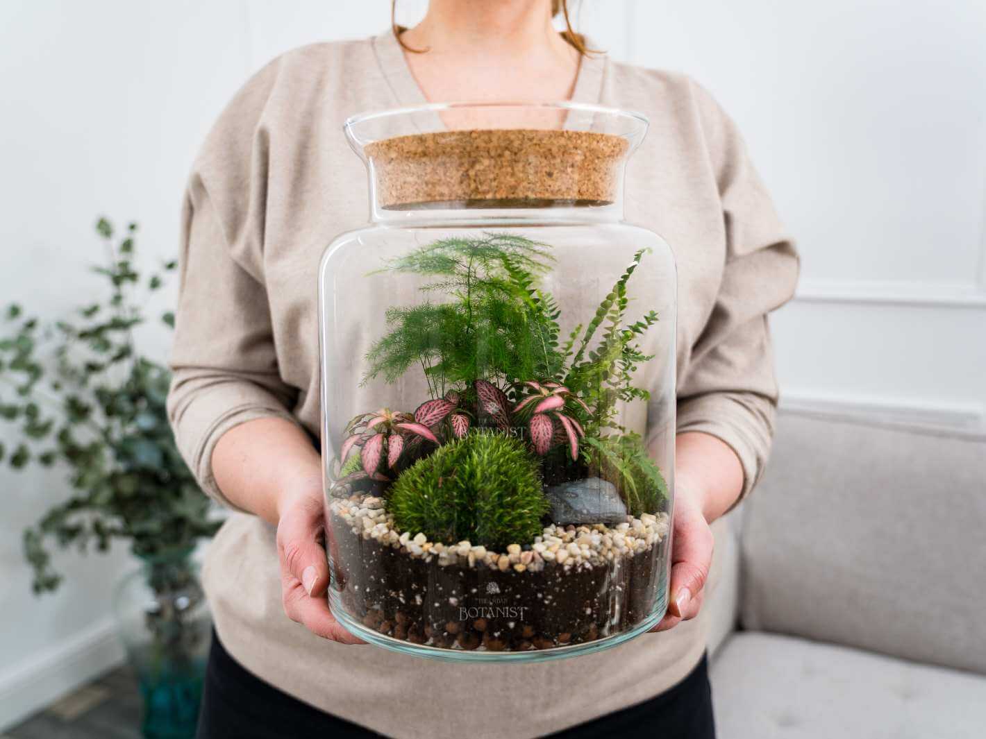 indoor ecosystem