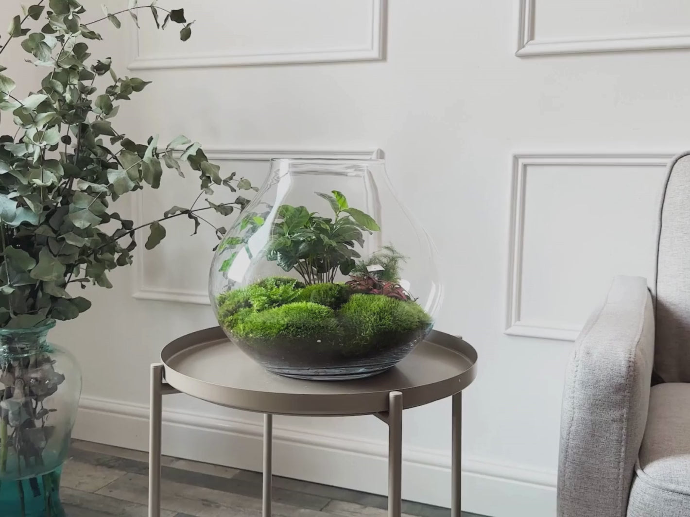 LARGE-READY-MADE-TERRARIUM-DELIVERY