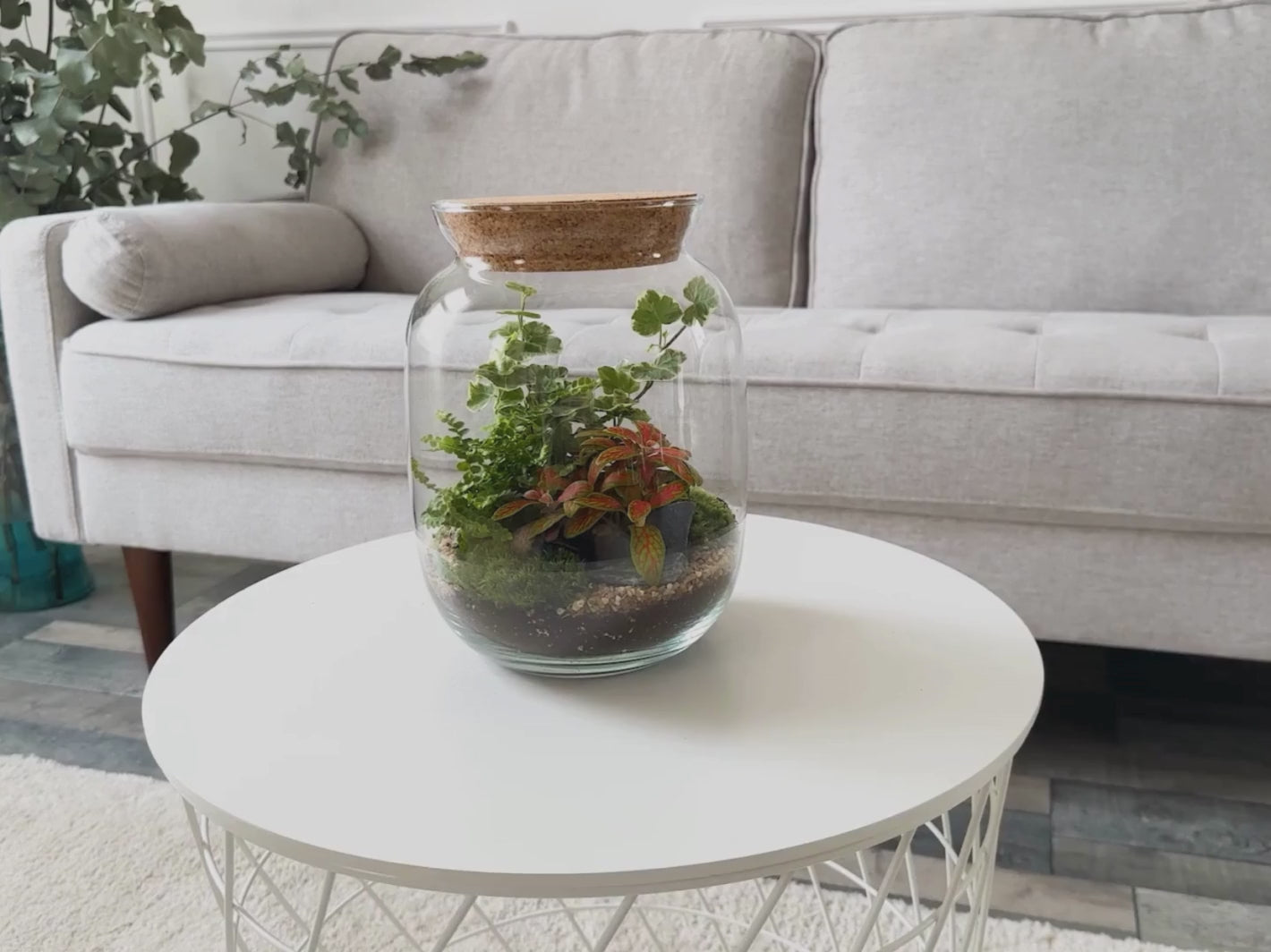 Make your own terrarium