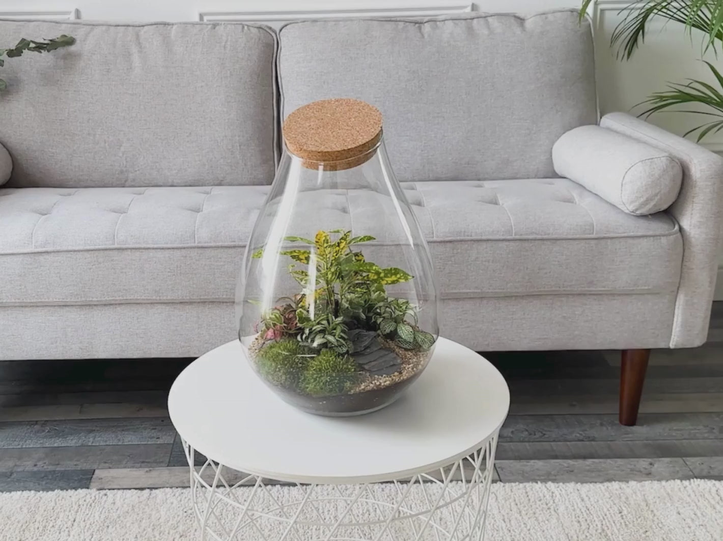 how-to-make-a-terrarium