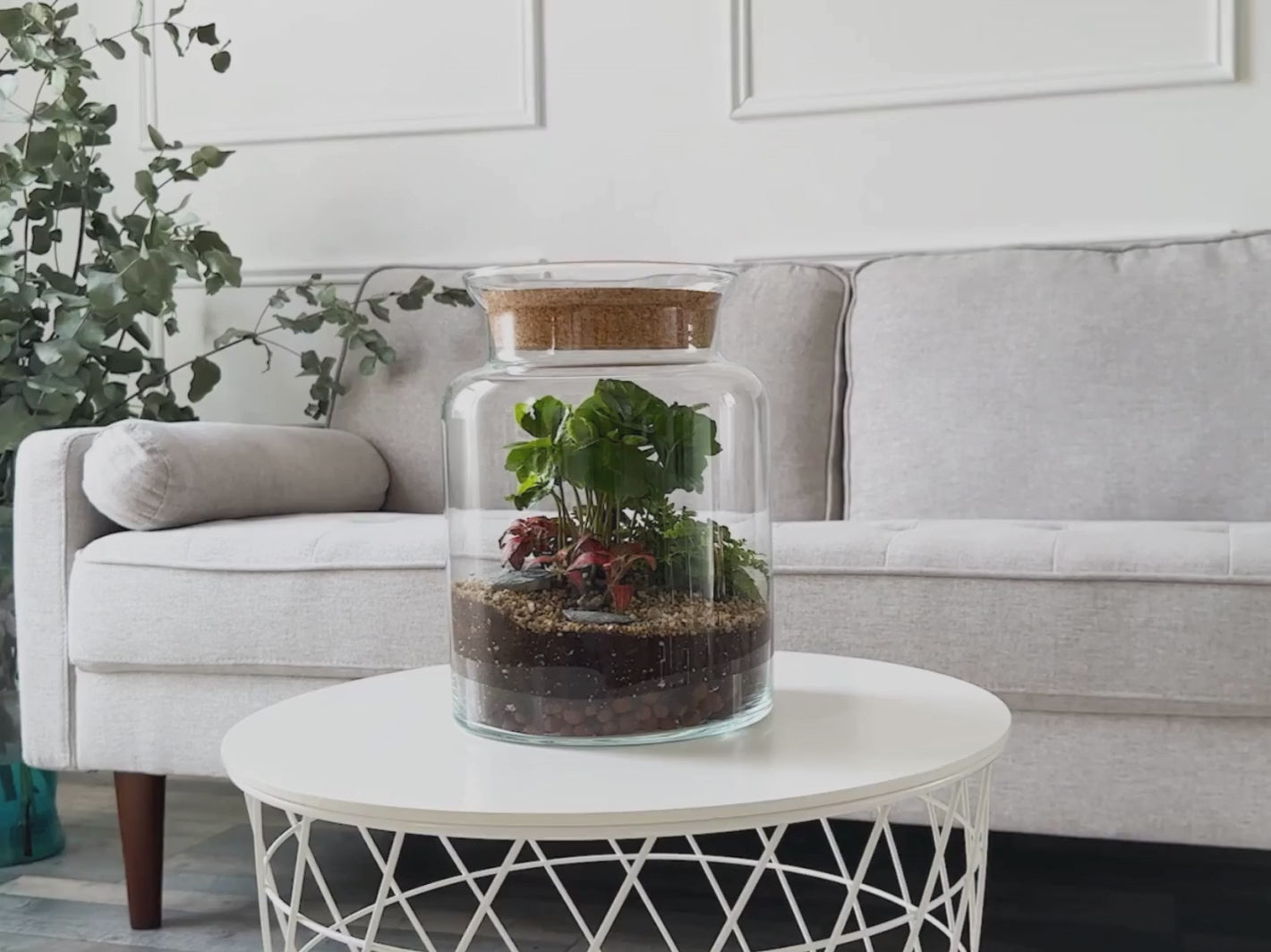 terrarium-design