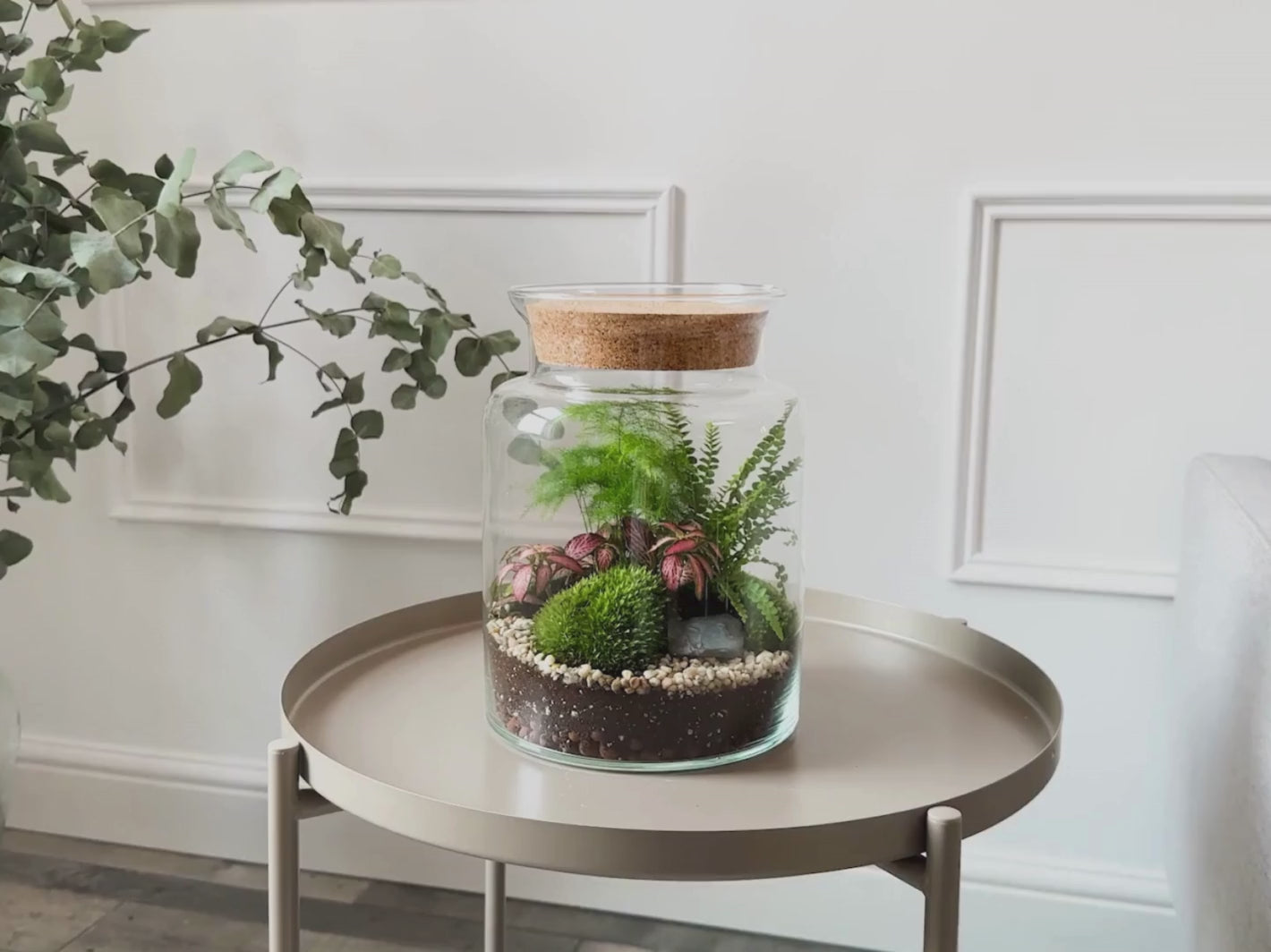 terrarium corked