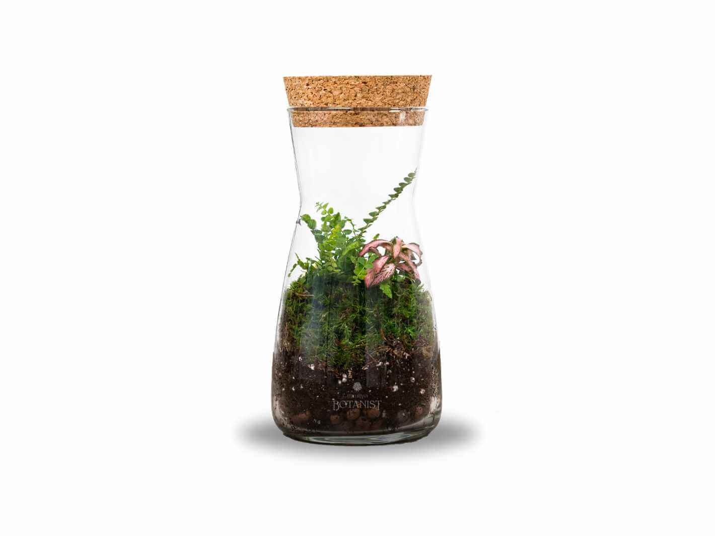 fern-terrarium