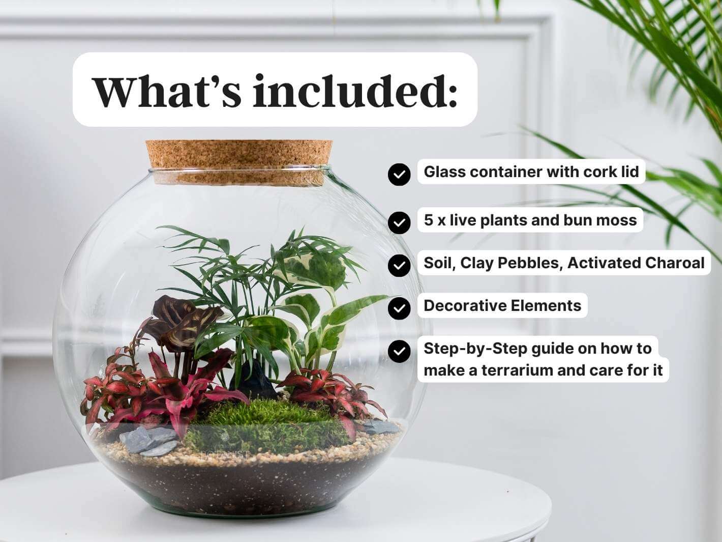 terrarium-essentials