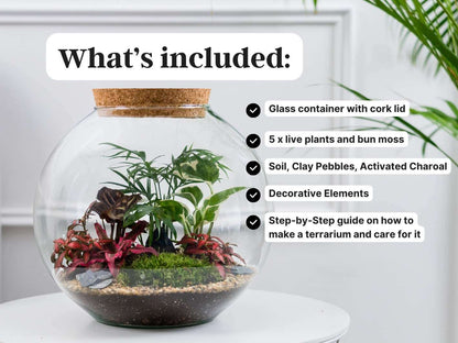 terrarium-essentials