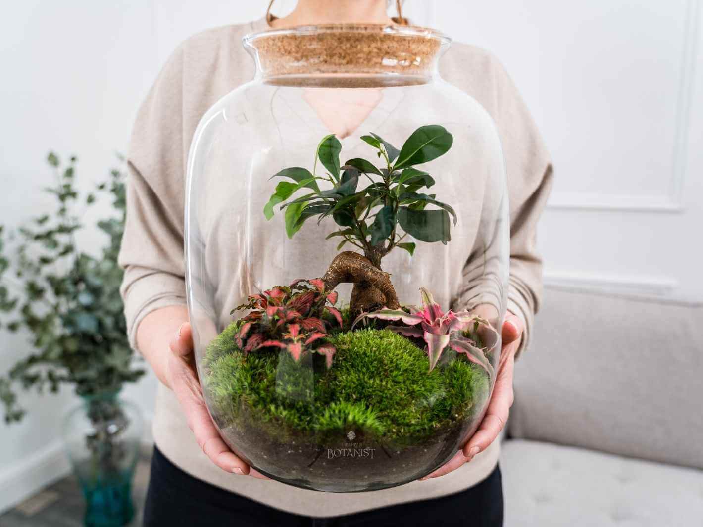 large-bonsai-terrarium
