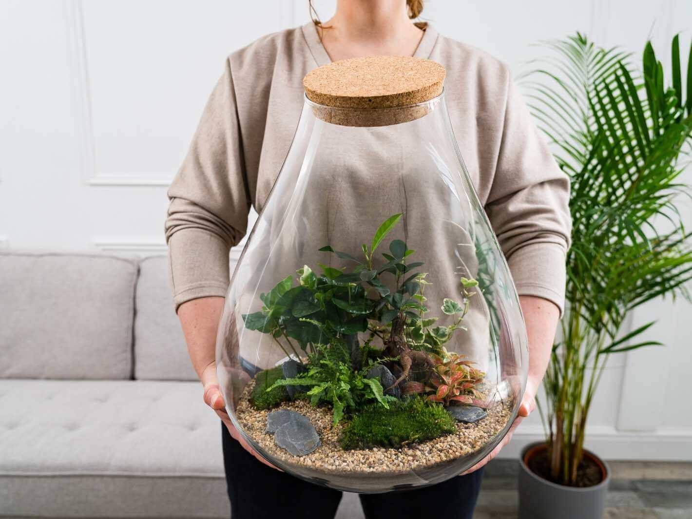plant terrarium large DIY Extra Large Closed Terrarium with Bonsai