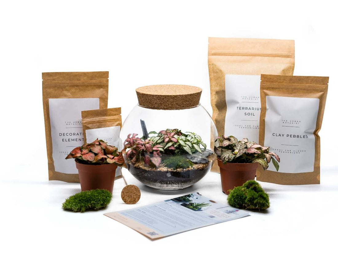 Best Terrarium Kit in UK