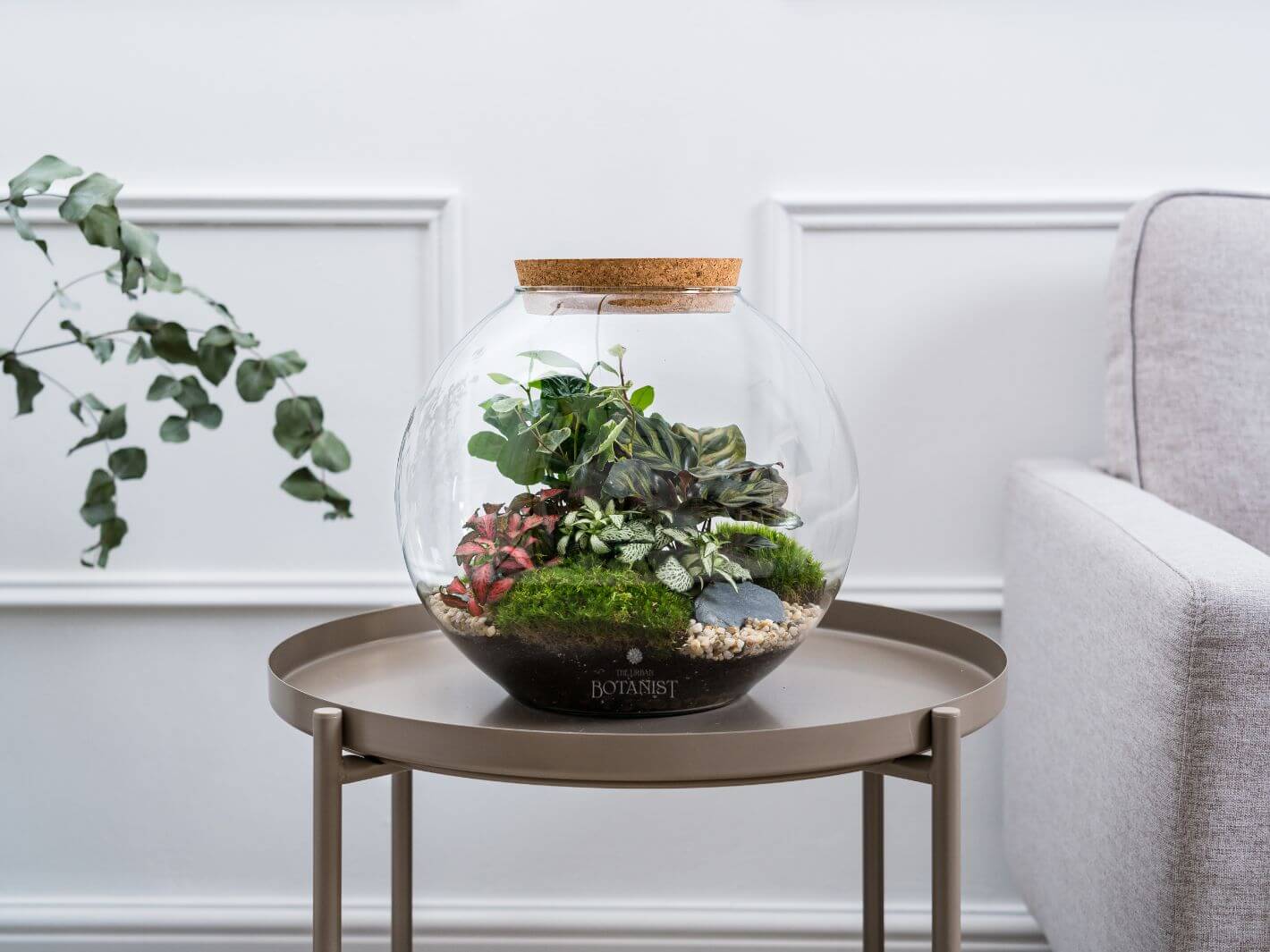 terrarium_corked_with_plants