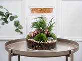 large glass closed terrarium