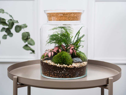 large glass closed terrarium