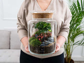 sealed-terrarium-kit